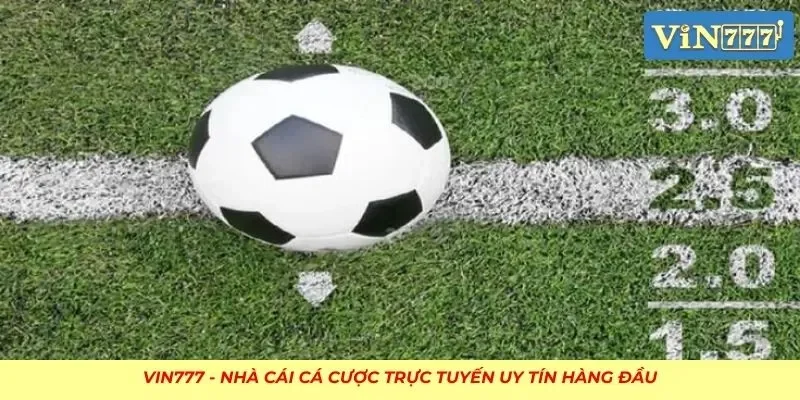 Cân nhắc về từng tỷ lệ cược trong kèo để đưa ra lựa chọn chuẩn xác
