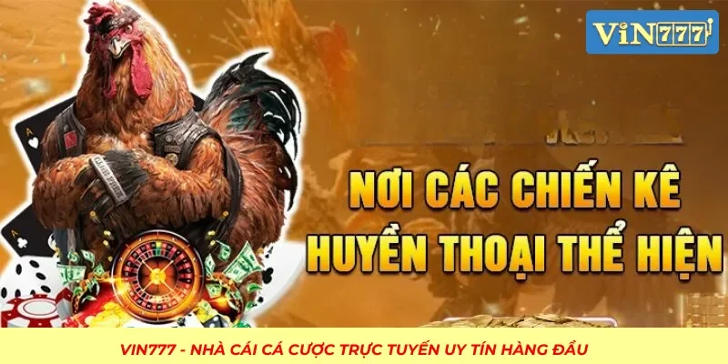 Chất lượng hình ảnh và âm thanh tại sảnh đá gà cổng cược