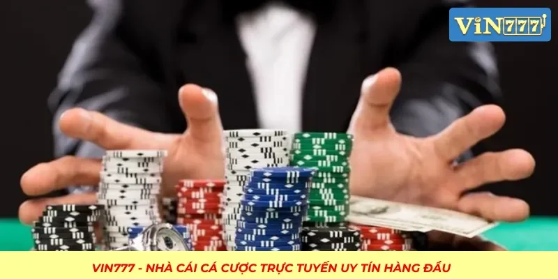 Lúc nào nên all in?