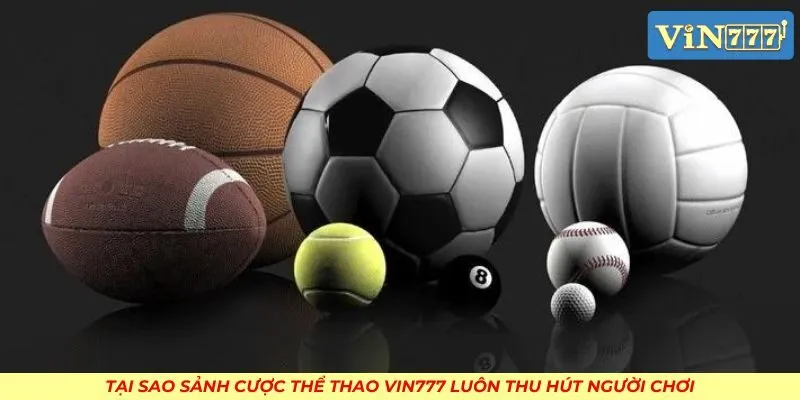 Tại sao sảnh cược thể thao VIN777 luôn thu hút người chơi