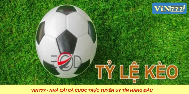 Tỷ lệ kèo bóng đá đơn giản dễ hiểu cho người chơi